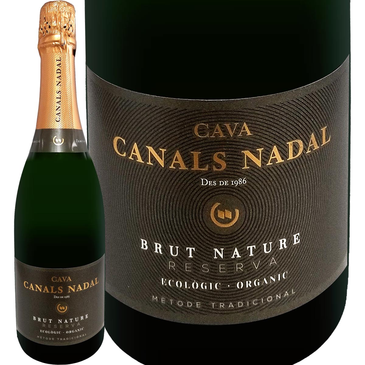 ʥ륹ʥ롦С֥åȡʥ졦쥻С˥å<br><br>ڥ ѡ󥰥磻 ˿ɸ ɥ奼 Υ󡦥ɥ Ĺ ȯ CAVA  롼˥ ڥͥǥ ͭǧ ˥åǧ CCPAE  1.0g/L