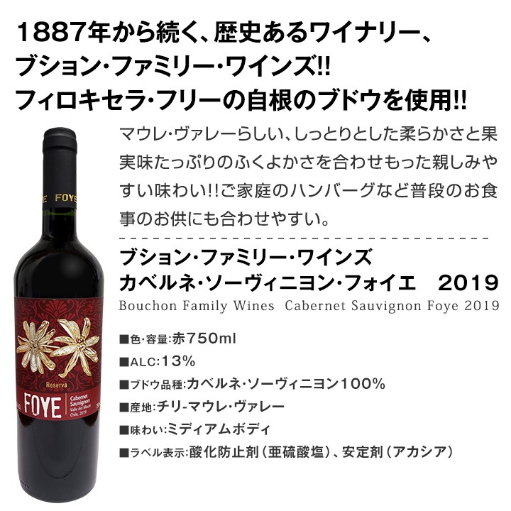 ミックスワインセット【送料無料】デイリーワインの決定版