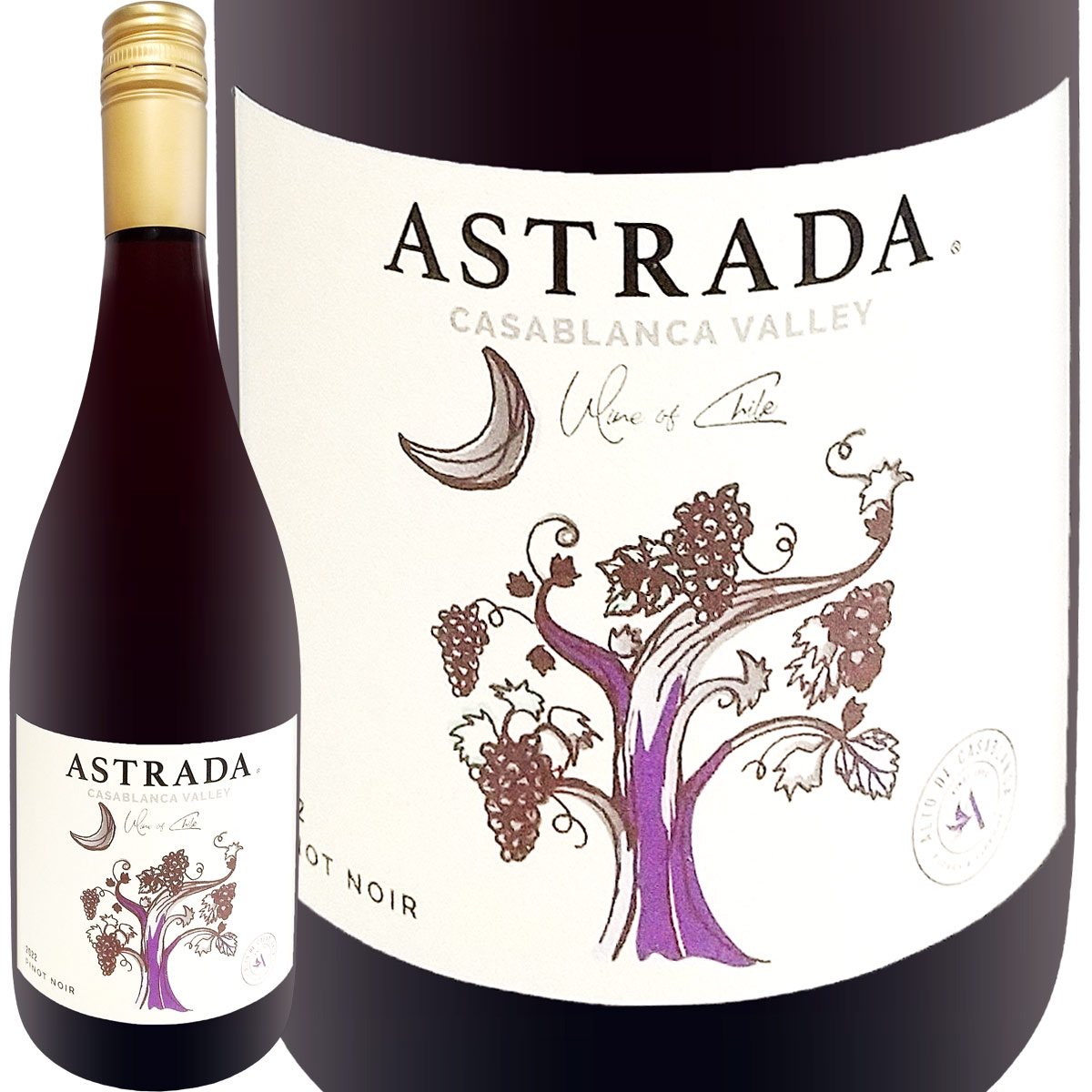 アストラーダ・ピノ・ノワール・カサブランカ・ヴァレー　2022<br><br>【チリ】【赤ワイン】【750ml】【ヴィーガン】【Vegan】