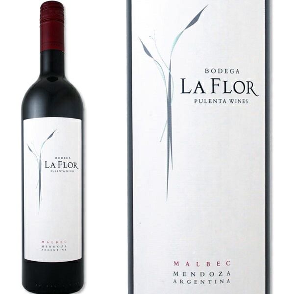 �ץ�󥿡��顦�ե����롦���ɡ������ޥ�٥å�2020 �֥磻��