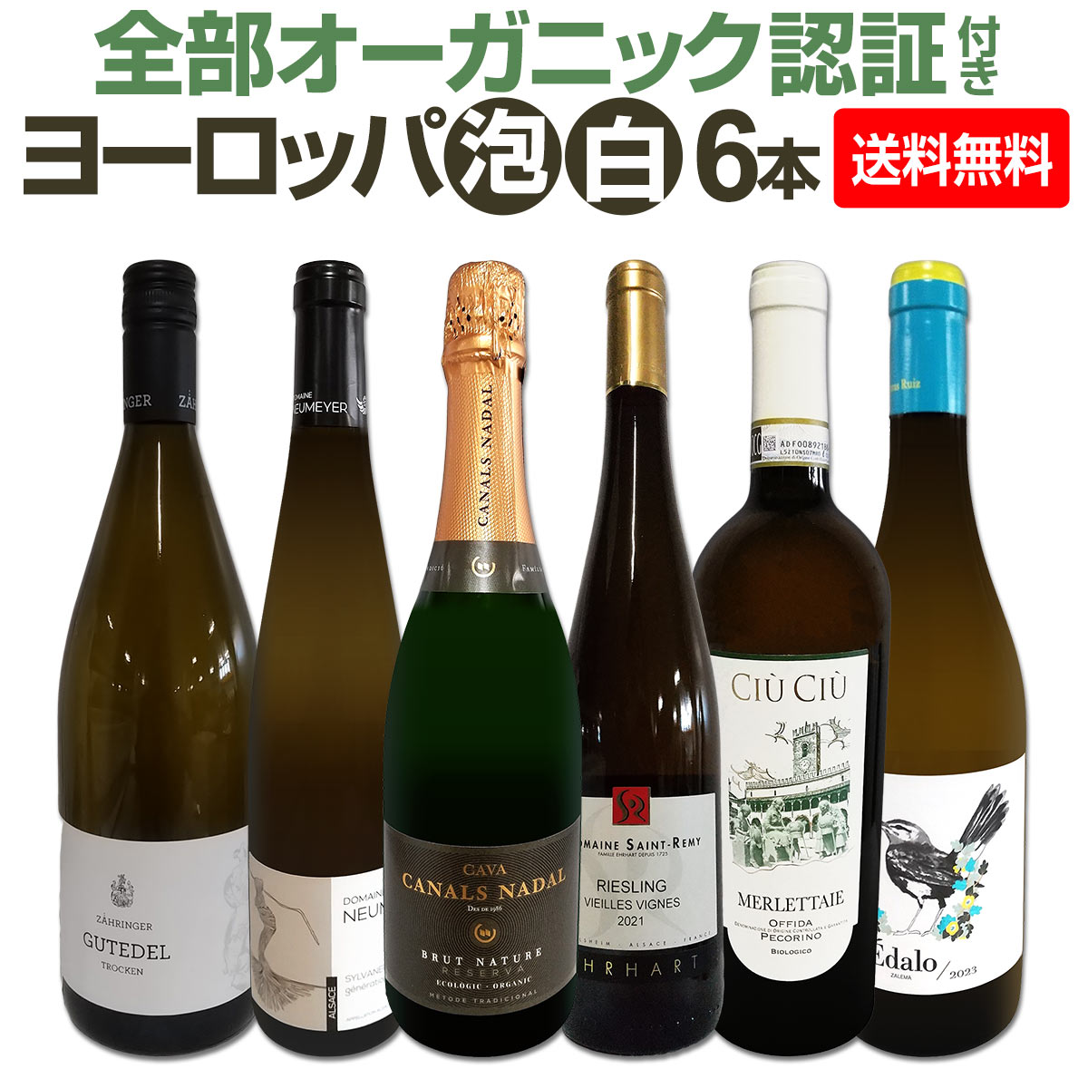 ������̵���ۡ������������˥å�ǧ���դ���������ȯ�ڥ���������衼���å�ˢ��磻��6�ܥ��å�!!