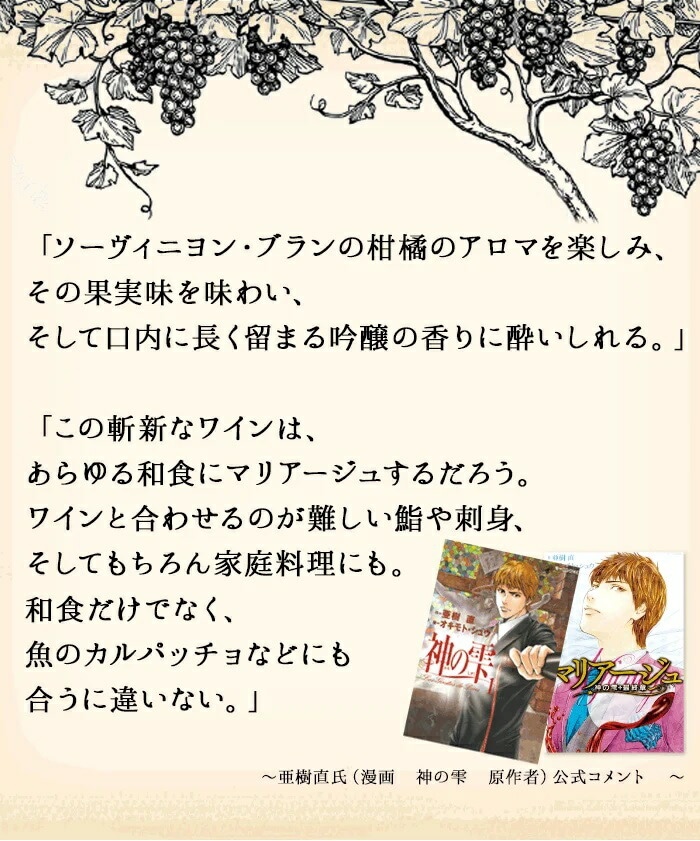 ����μ������åȡ����른��󡦥��������˥�󡦥֥�� 2023