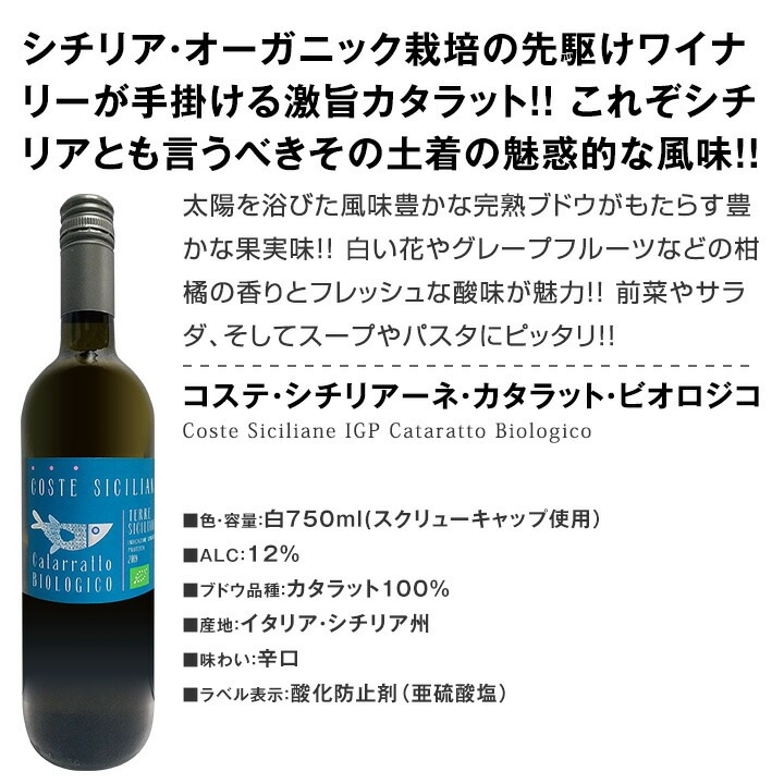 【送料無料】第51弾！当店≪極≫厳選！白ワイン好きならこのセット！格別の美味しさ！華やかな上質白ワインを存分に味わう贅沢白ワイン6本セット！