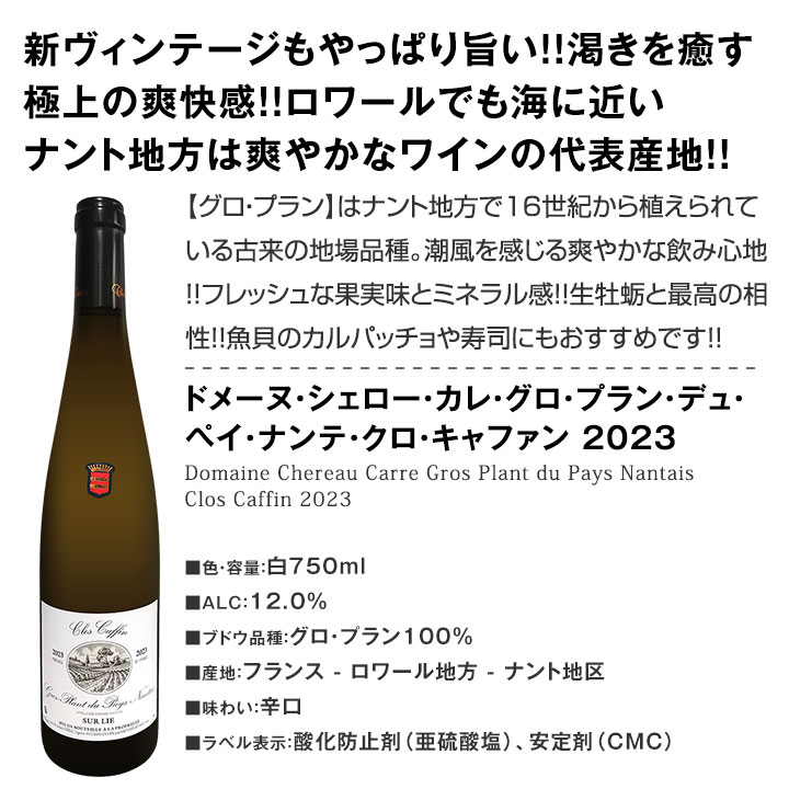 【送料無料】第51弾！当店≪極≫厳選！白ワイン好きならこのセット！格別の美味しさ！華やかな上質白ワインを存分に味わう贅沢白ワイン6本セット！