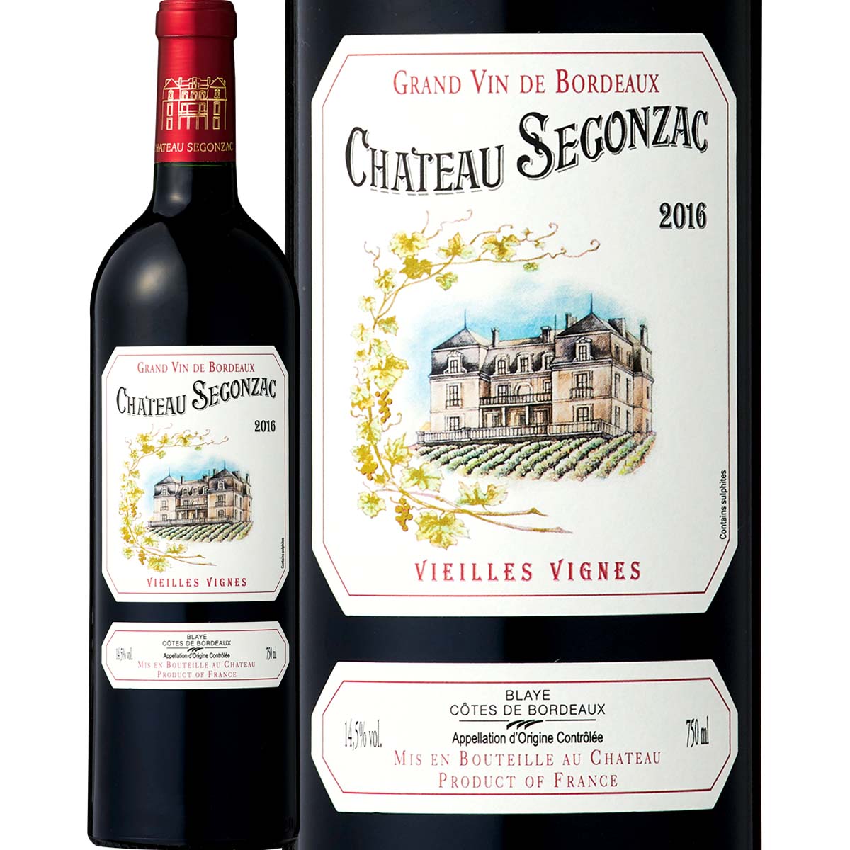 ����ȡ��������󥵥å������������桦�����˥� 2020