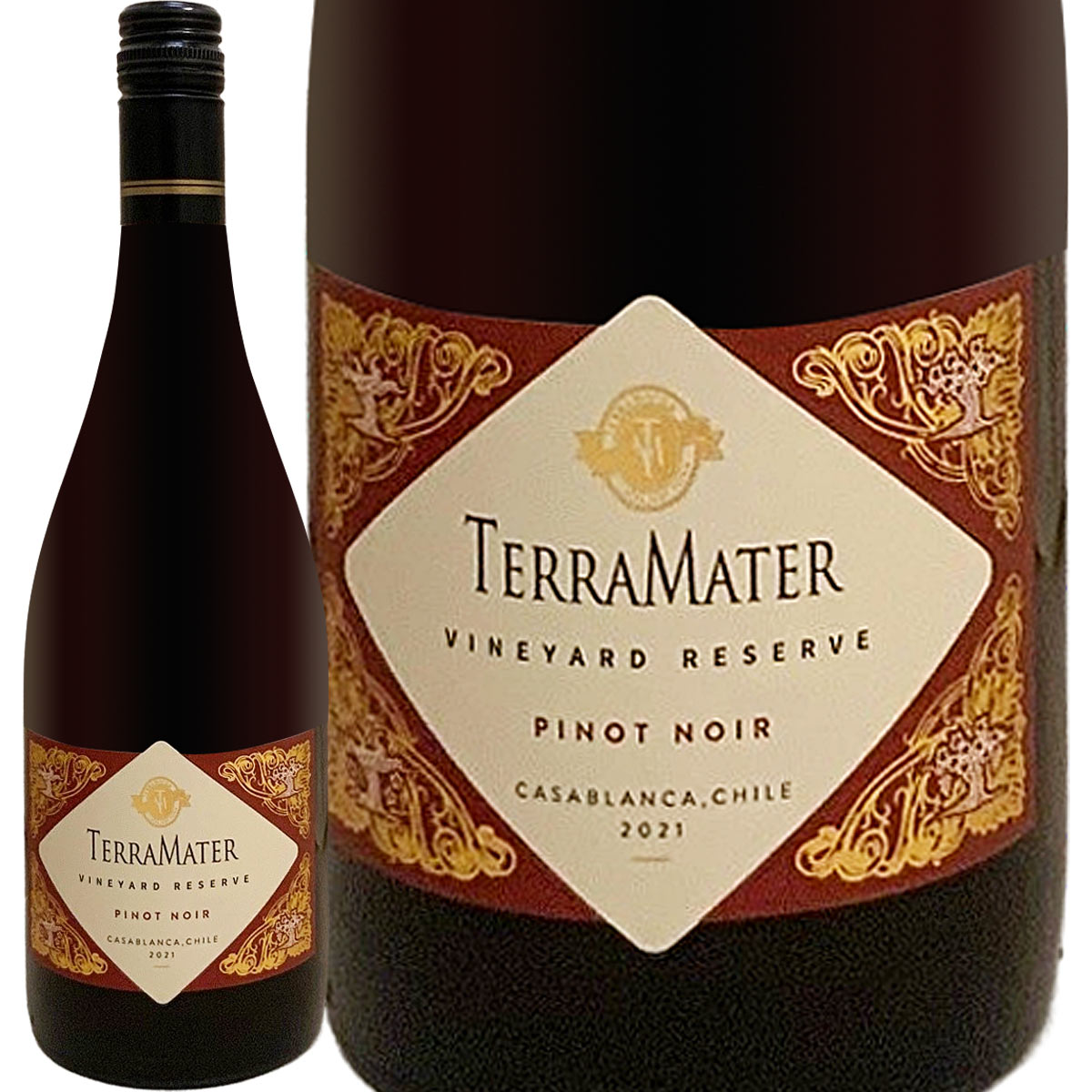 �ƥ顦�ޥ�����������䡼�ɡ��ꥶ�������ԥΡ��Υ��ʺǿ�������ơ�����