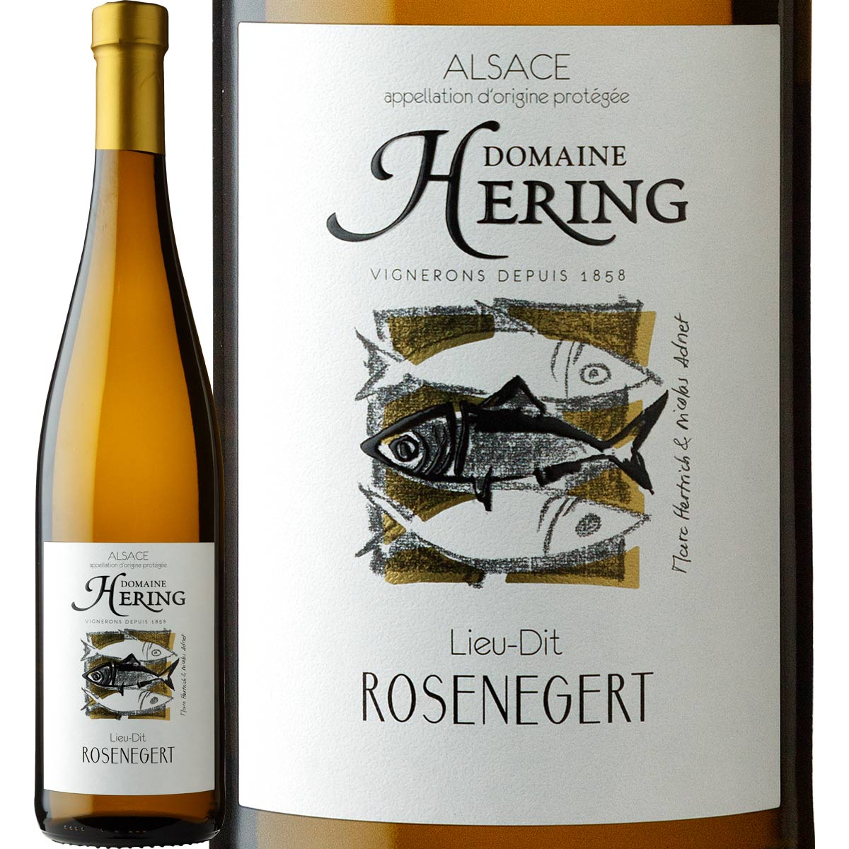 �إ�󥰡��������󥨡������ 2022<br><br>�ڥե�󥹡ۡڥ��륶���ۡ���磻��ۡ�750ml�ۡڥߥǥ�����ܥǥ��ۡڿɸ���