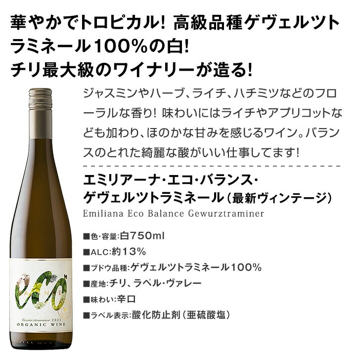 ������̵���ۻ��Ϥθ��������륢���ޤ��äפ����磻���ܥ��åȡ�