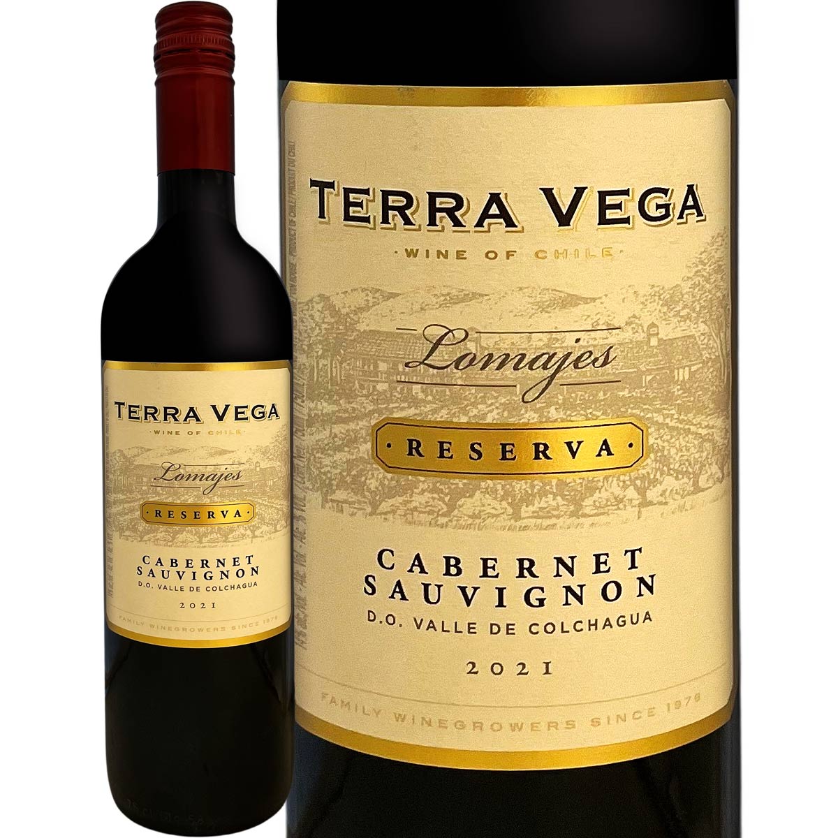 ƥ顦٥͡˥󡦥쥼ʺǿơ<br><br> ֥磻 750ml ɸ եܥǥ Terra Vega