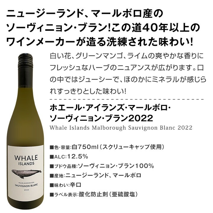 ̵͵˥塼2ܤäֲ䤫ʥ˥󡦥֥!!