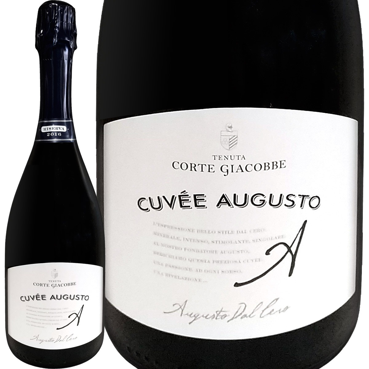 �ƥ̡������ǥ�������ơ����㥳���١ʥ��롦�������˥������������������ 2016 �򥹥ѡ�����󥰥磻��