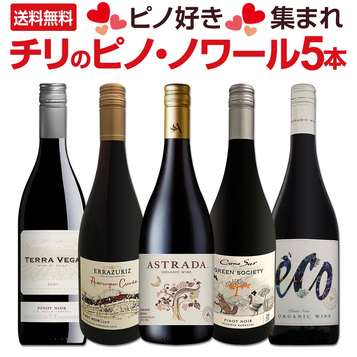 【送料無料】ピノ好き集まれ！品質向上目覚しいチリ・ピノ5本！
