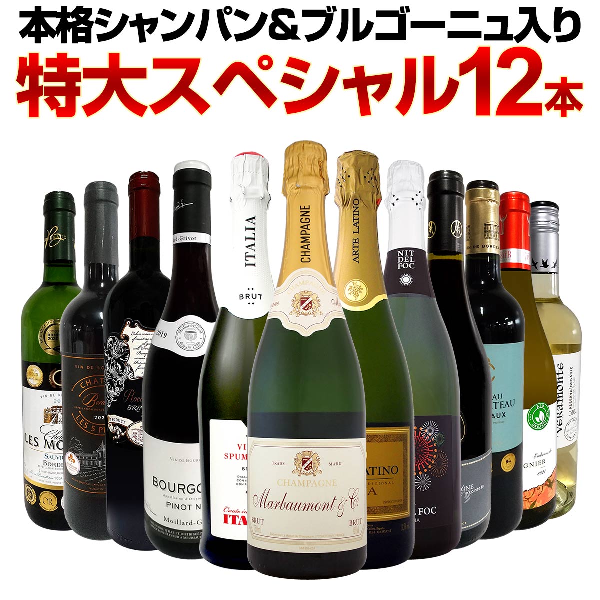 ̵35ơܳʥѥ֥르˥ꡪ祹ڥ12ܥåȡ