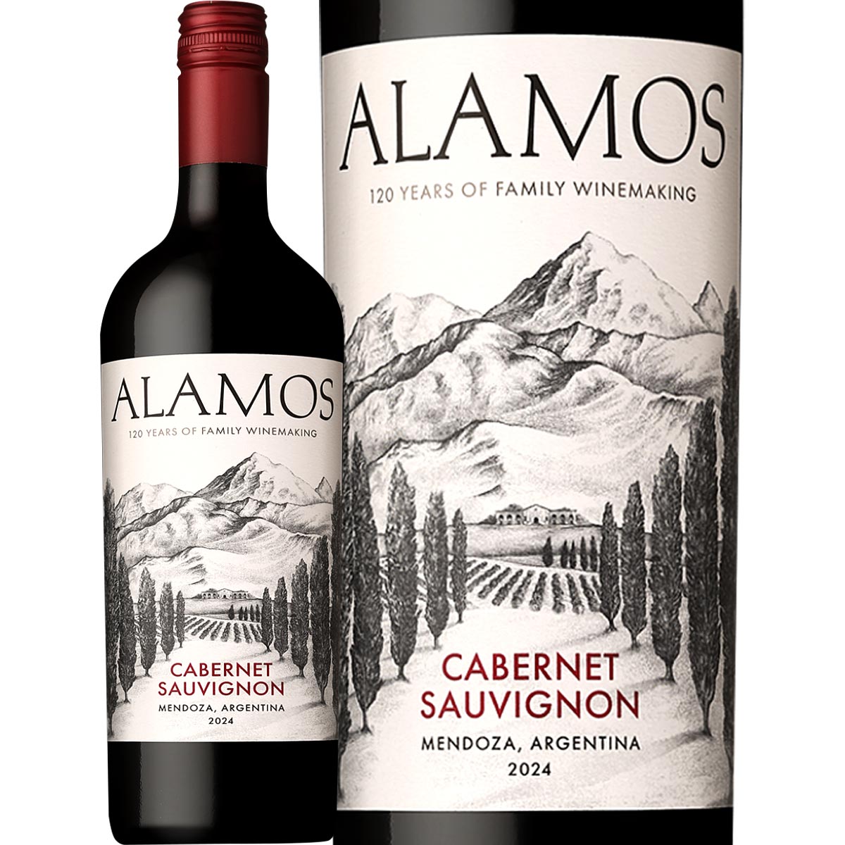 ���ƥʡ�����⥹�����٥�͡����������˥�� �ʺǿ�������ơ�����<br><br>�ڥ��를�����ۡ��֥磻��ۡ�750ml��