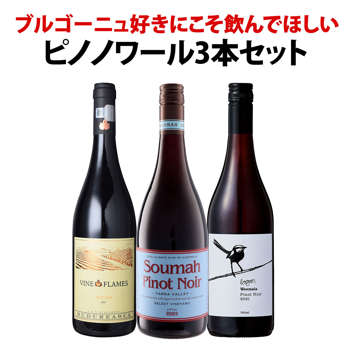 赤ワイン セット 送料無料 ブルゴーニュ 好きにこそ飲んでほしい 世界