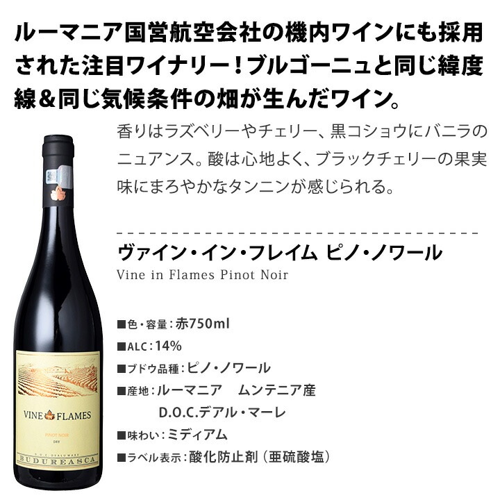 赤ワイン セット 送料無料 ブルゴーニュ 好きにこそ飲んでほしい 世界