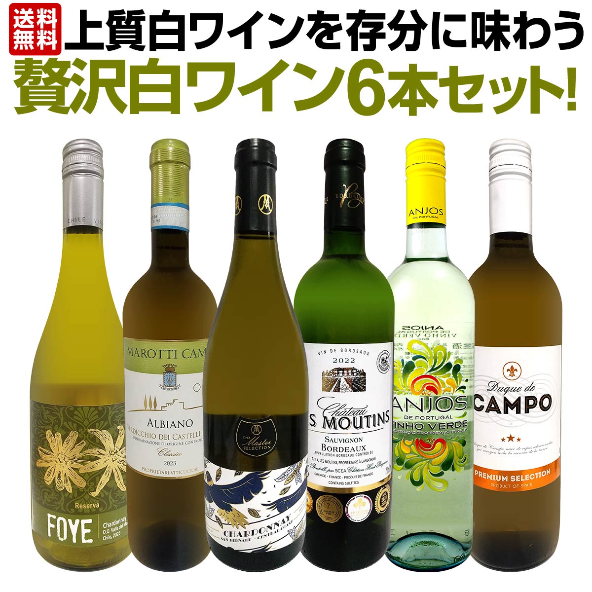 【送料無料】第53弾！当店≪極≫厳選！白ワイン好きならこのセット！格別の美味しさ！華やかな上質白ワインを存分に味わう贅沢白ワイン6本セット！