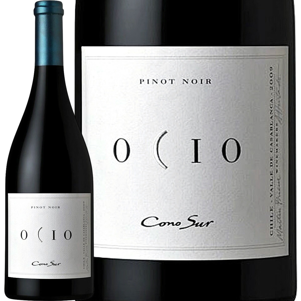 ���Υ��롦���������ԥΡ��Υ��2020�ڥ���ۡ��֥磻��ۡ�750ml�ۡڿɸ��ۡ�Cono Sur��