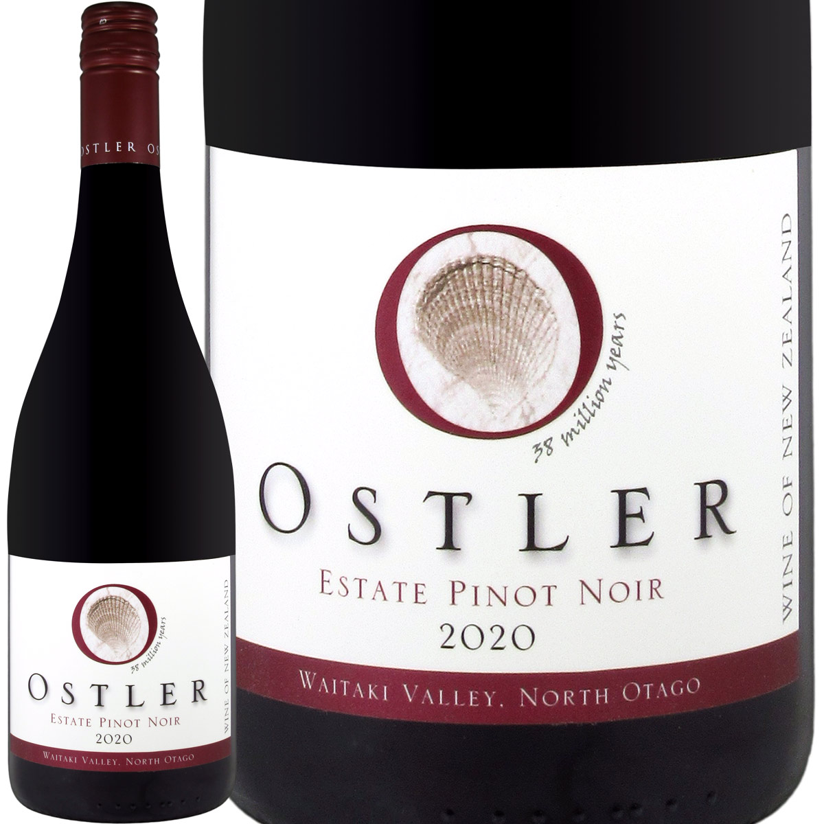 �����顼 �Ρ��������������磻�����������졼 �ԥΡ��Υ�� 2020 �֥磻��