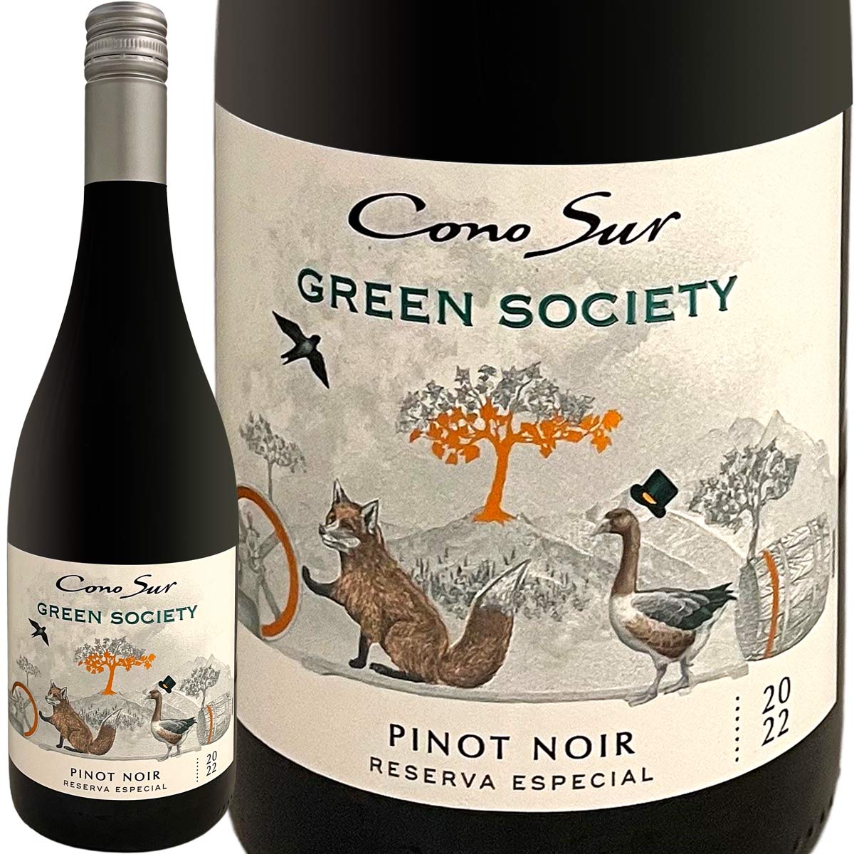 ���Υ��롦���꡼�󡦥��������ƥ����ԥΡ��Υ��ʺǿ�������ơ����ˡڥ���ۡ��֥磻��ۡ�750ml�ۡڿɸ��ۡ�Cono Sur��