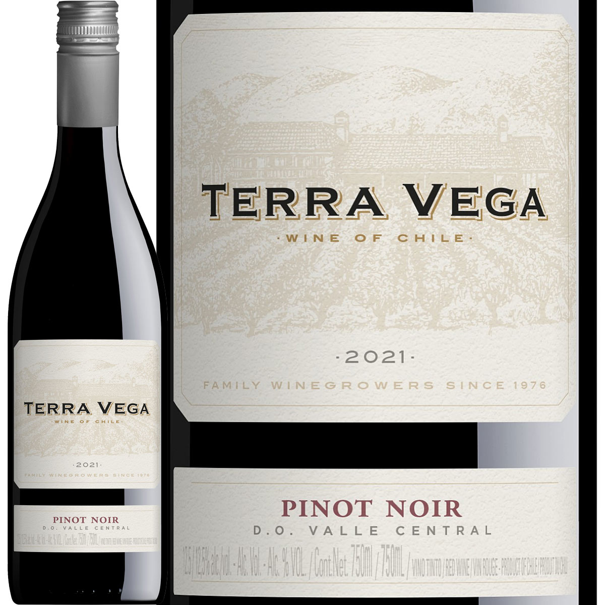 �֥磻�� �ƥ顦���������ԥΡ��Υ��ʺǿ�������ơ����˥��� �֥磻�� 750ml �ɸ� �ߥǥ�����ܥǥ� Terra Vega