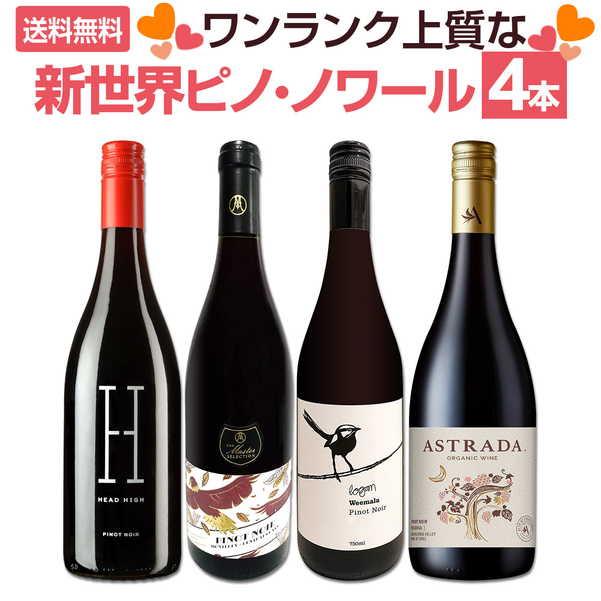 ̵Źȼ͢ΥԥΣܤᥤˡ󥯾ʿԥΡΥ룴ܥåȡ