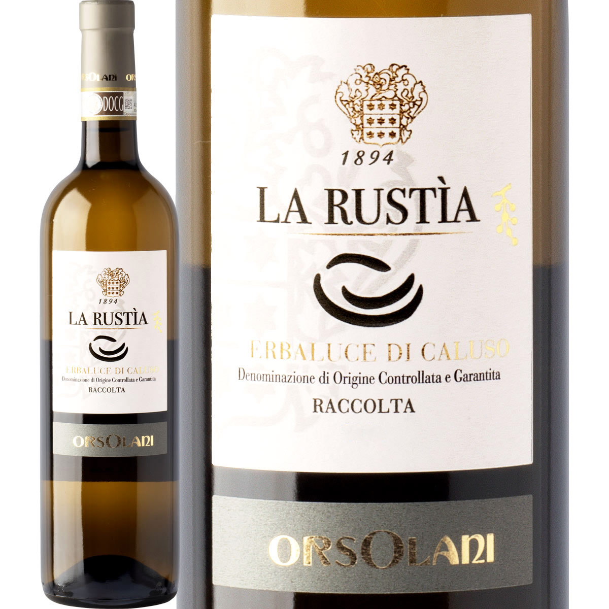 륾顼ˡ顦륹ƥХ롼ǥ롼 2023<br><br>ڥꥢۡ磻ۡDOCGۡڿɸ