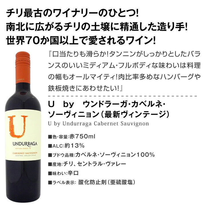 送料無料】今や輸入量ナンバーワンに輝くチリ！厳選赤ワイン9本セット