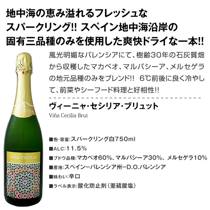 【送料無料】第103弾！選び抜いたハイクオリティ泡ばかり12本！辛口スパークリングワインセット！