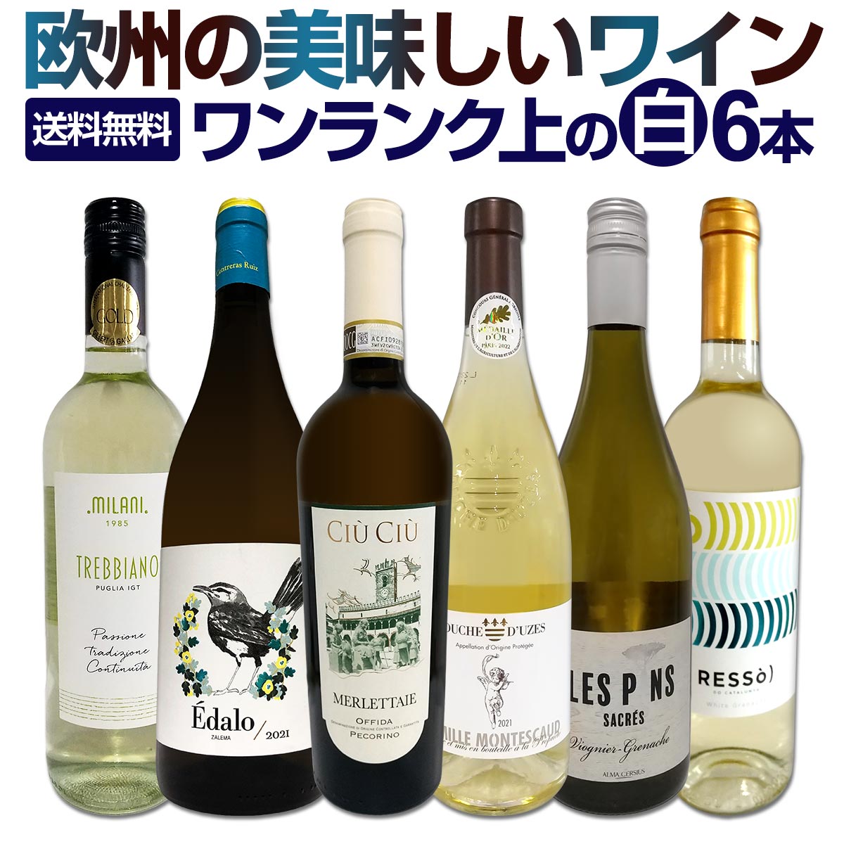 ��磻�󥻥å� ������̵������195�ơ���Ź���������줾�˻ݿɸ���磻�󡪡���磻���¸ʬ�˳ڤ��ࡪ��̣�襤���������ѡ������쥯���� 750ml 6�ܥ��å� �磻�� �磻�󥻥å� �ɸ� �����ɥ� ��ޥ磻�� ������� �ͤ��碌 ���ե� �ץ쥼���