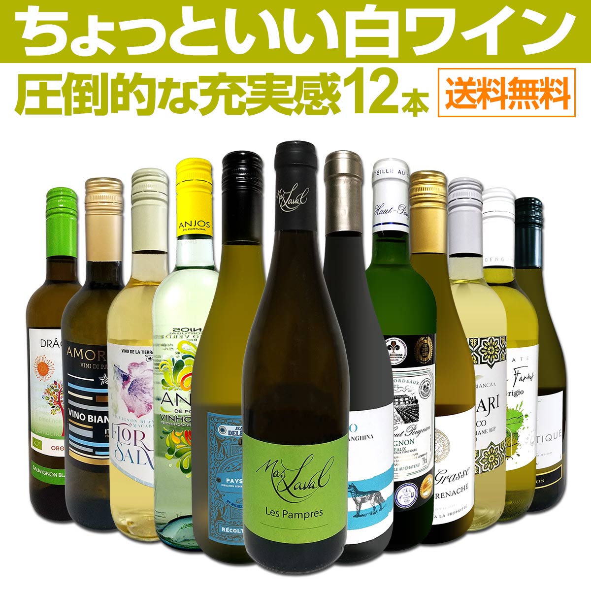 ������̵������88�ơ���Ź��������Ф��������������äȤ�����磻��12�ܥ��åȡ�