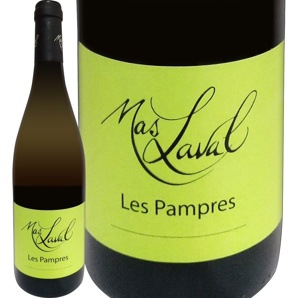 �ޥ���������롦�졦�ѥ�ץ롦�֥�� 2024<br><br>����磻�� 750ml  �ɸ�  Mas Laval��
