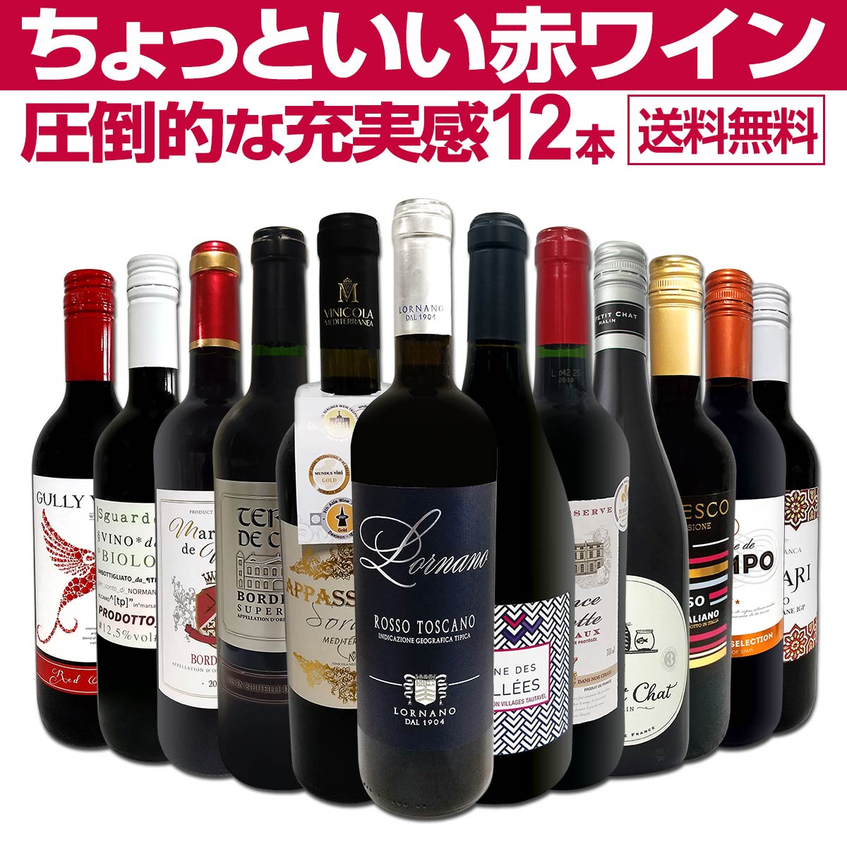 赤ワイン１２本セット 送料無料】第65弾！当店オススメばかりを厳選したちょっといい赤ワイン