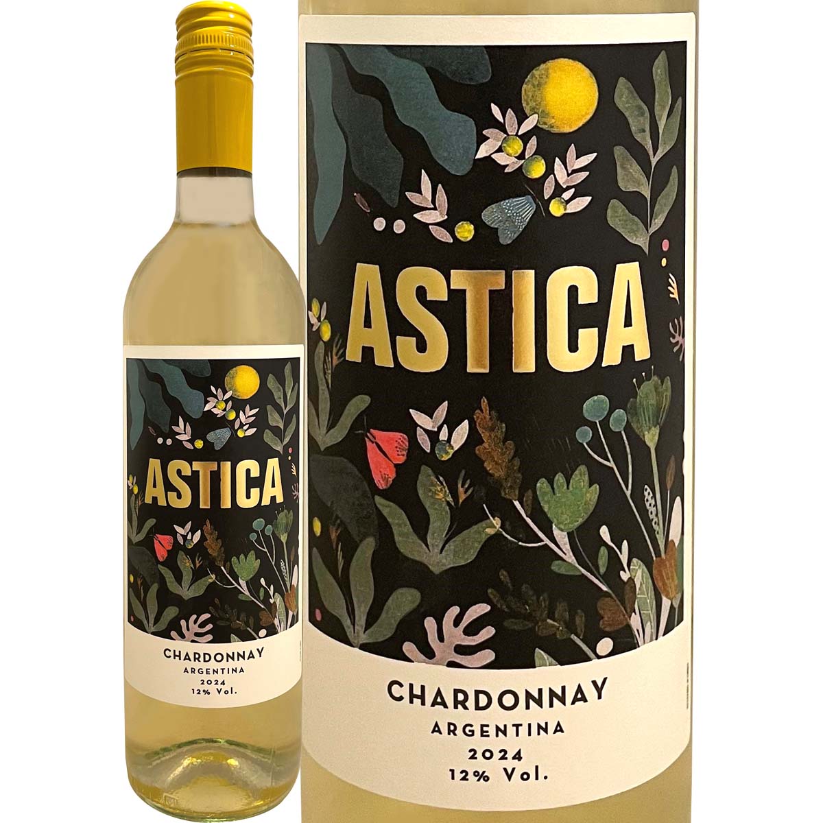 トラピチェ・アスティカ・シャルドネ 2024 | 白ワイン | 京橋ワイン