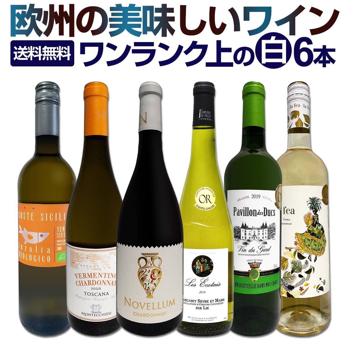 白ワインセット 【送料無料】第176弾！当店厳選！これぞ極旨辛口白