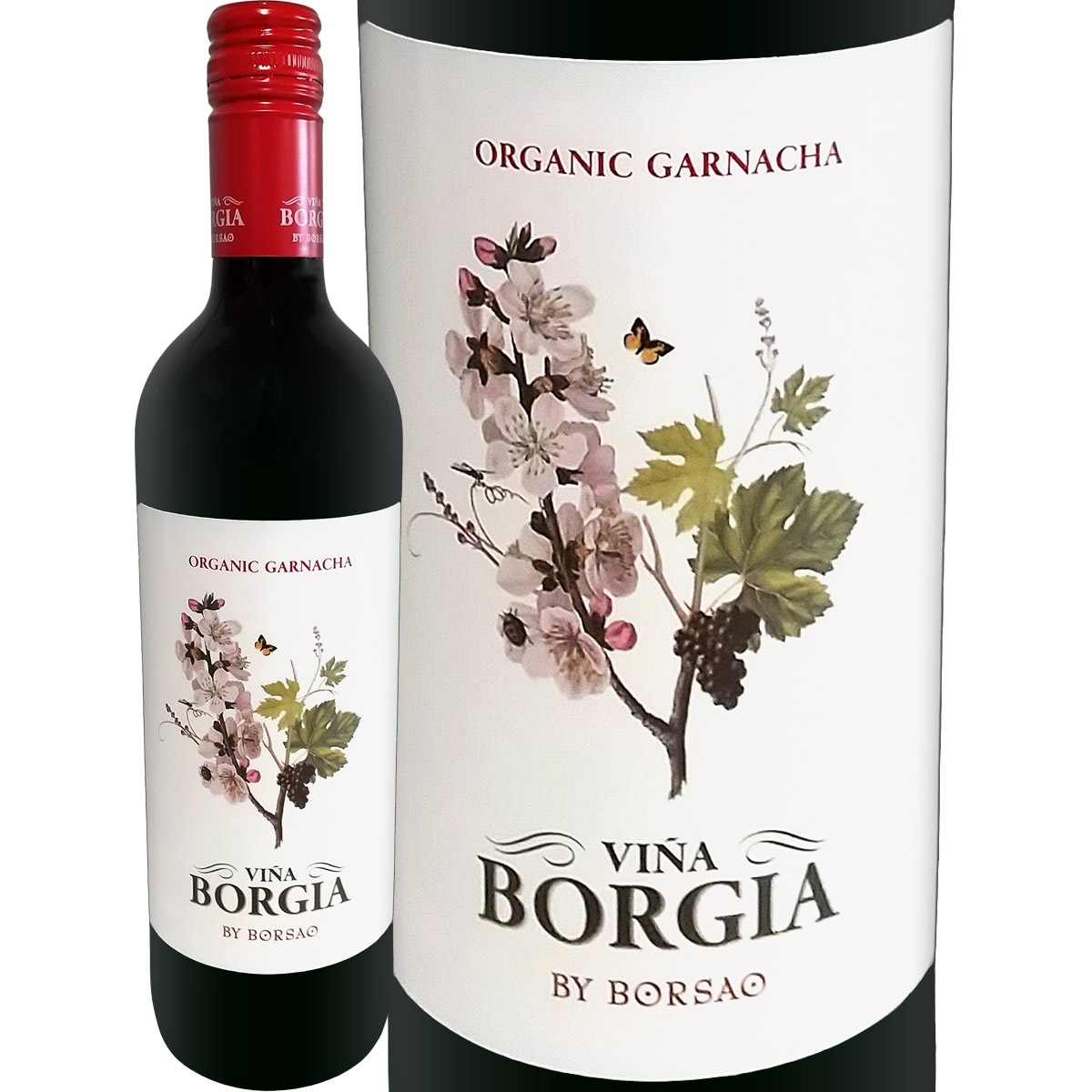 ӡ˥㡦ܥҥ˥å2022<br>ڥ ֥磻 ߥǥܥǥ ܥ륵 ͭ ǧ EU CAAE ӥå  ʥå ݡǡܥ 饴