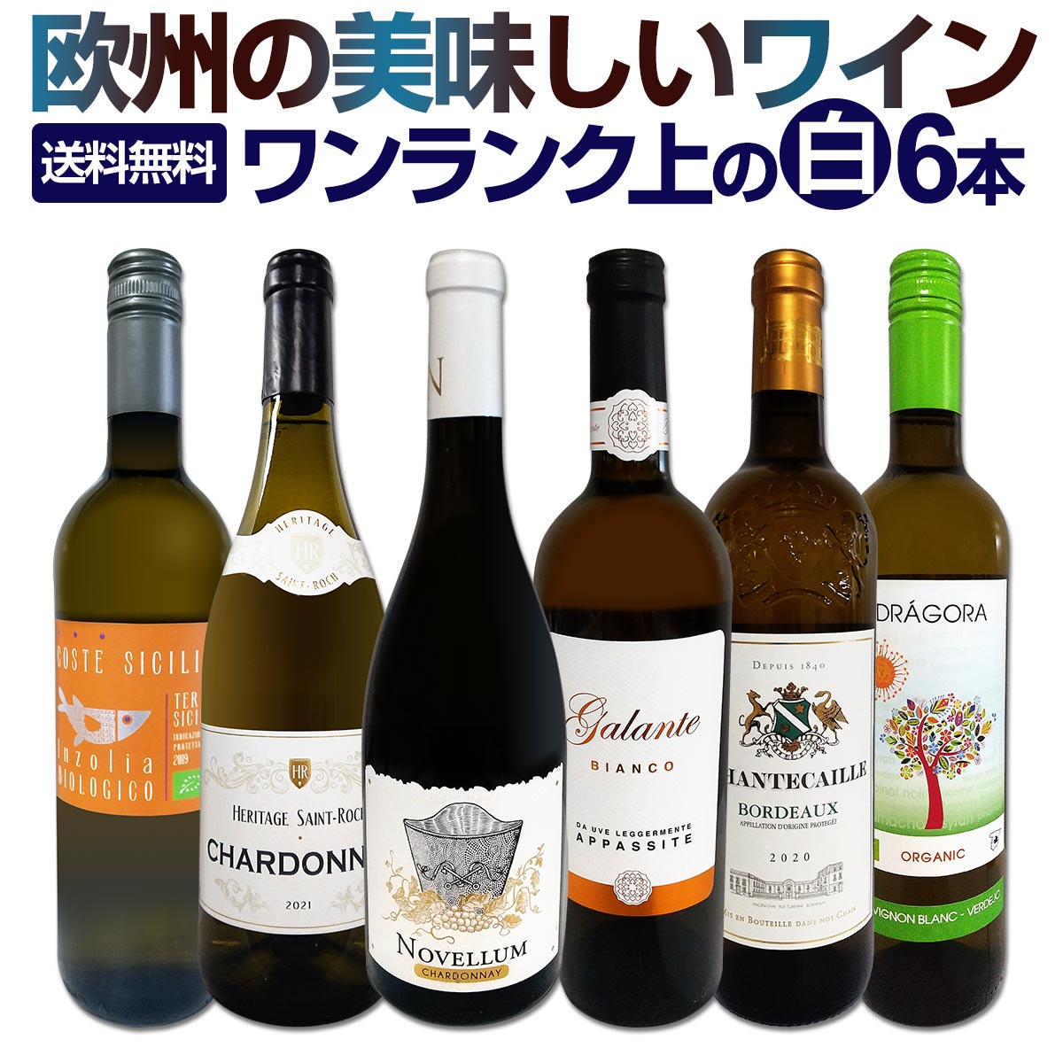 ��磻�󥻥å� ������̵������202�ơ���Ź���������줾�˻ݿɸ���磻�󡪡���磻���¸ʬ�˳ڤ��ࡪ��̣�襤���������ѡ������쥯���� 750ml 6�ܥ��å�