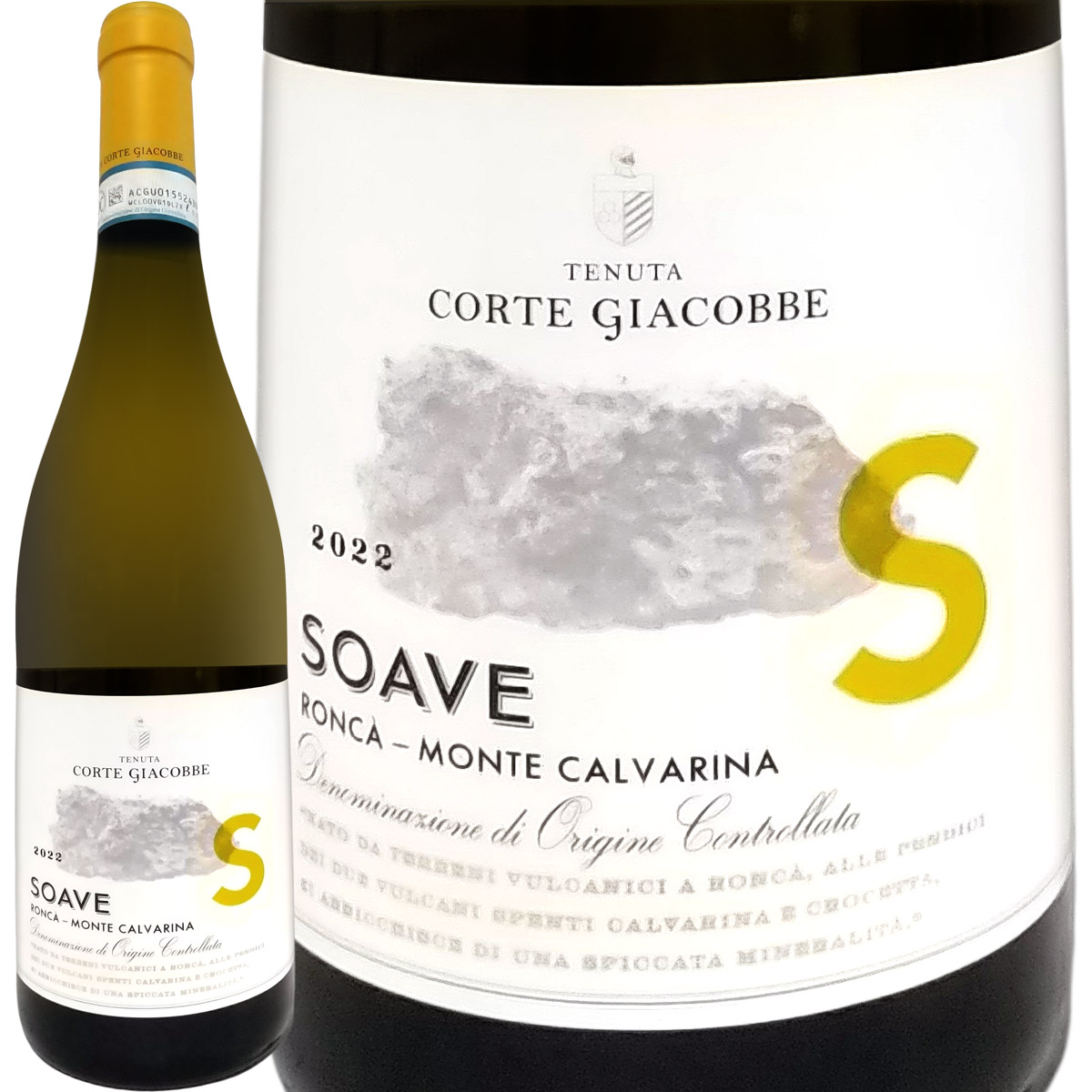 �ƥ̡������ǥ�������ơ����㥳���١ʥ��롦������)����������������ơ����㥳���� 2022 ��磻��