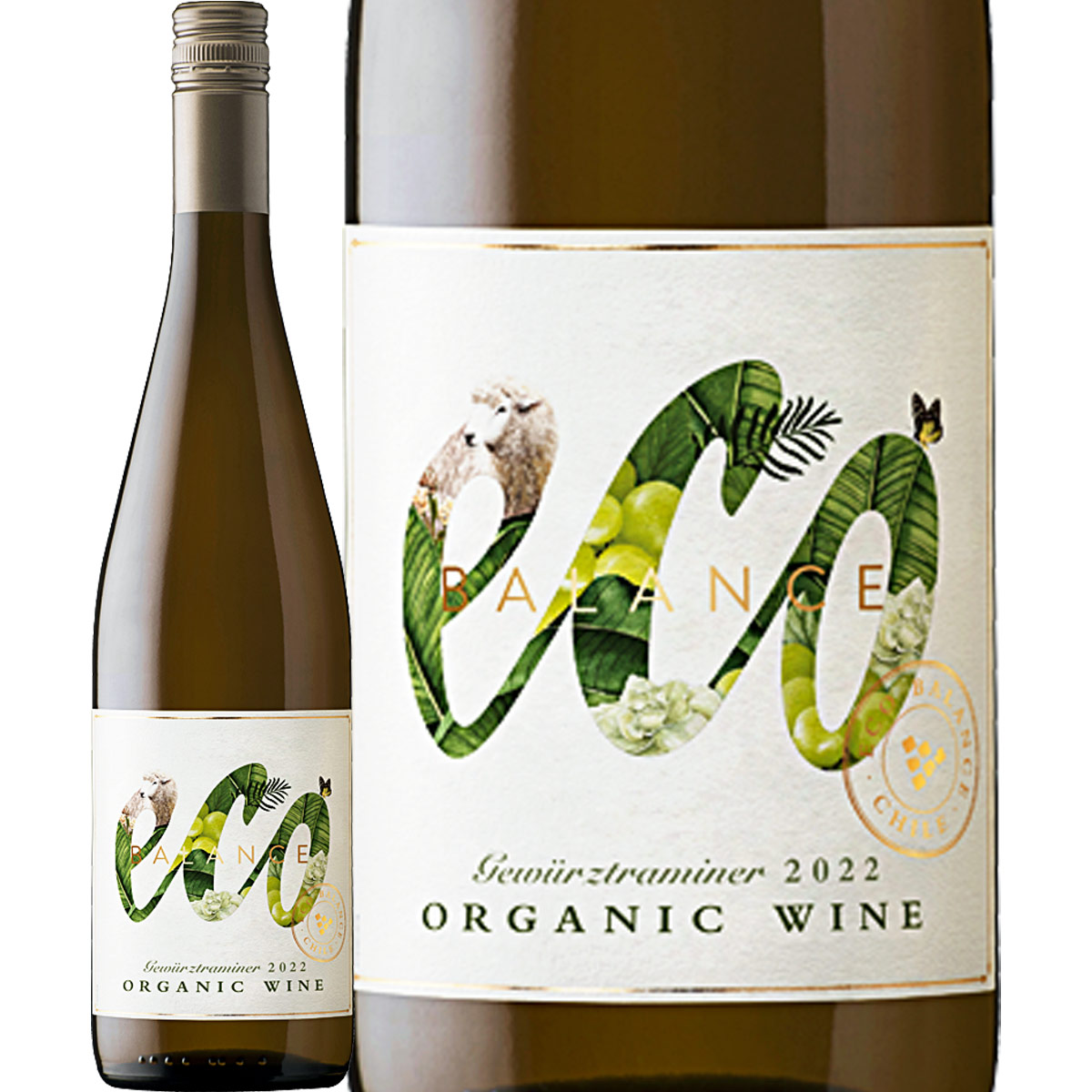 ߥꥢʡХ󥹡ĥȥߥ͡ʺǿơǤϤ