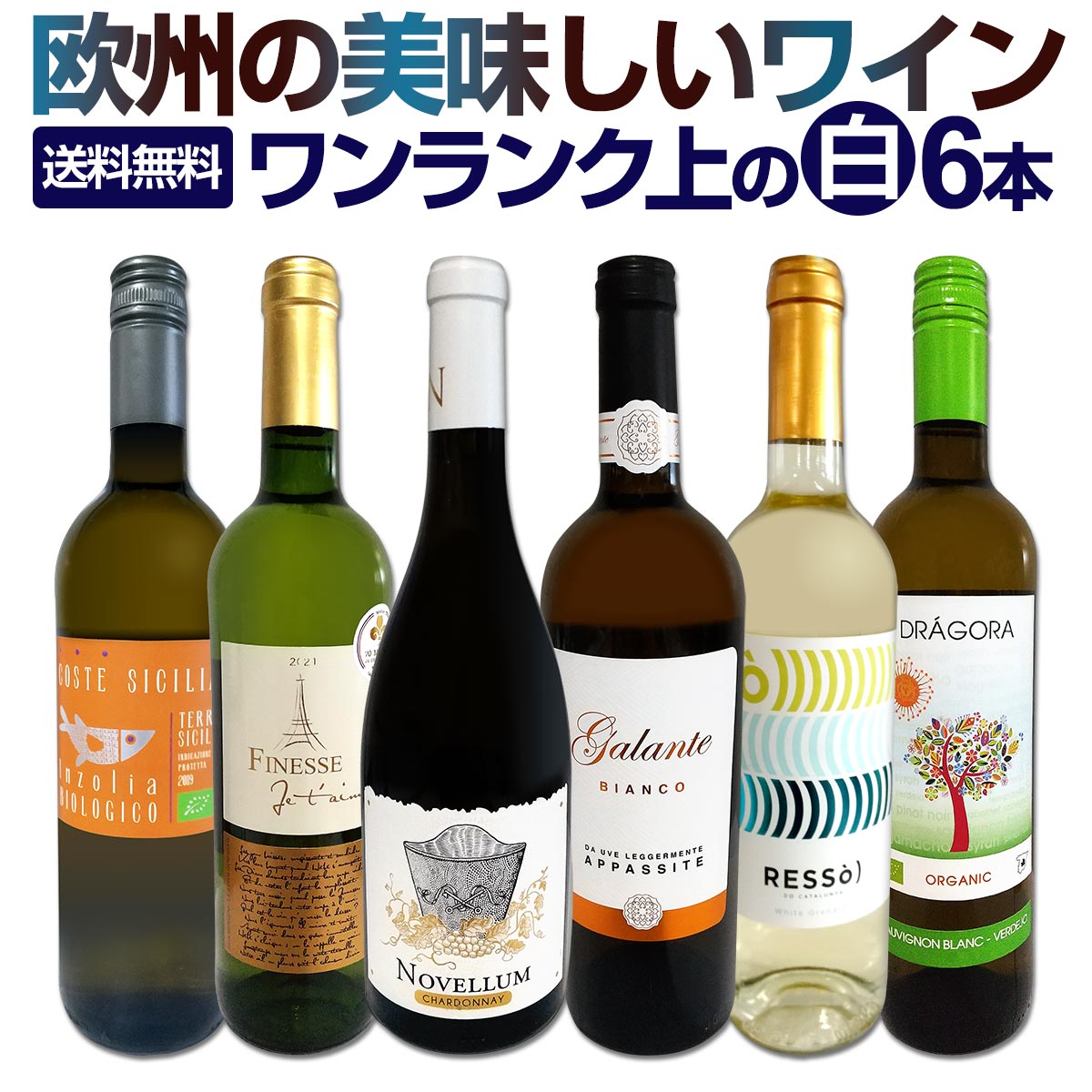 磻󥻥å ̵201ơŹ줾˻ݿɸ磻󡪡磻¸ʬ˳ڤࡪ̣襤ѡ쥯 750ml 6ܥå 磻 磻󥻥å ɸ ɥ ޥ磻  ͤ碌 ե ץ쥼