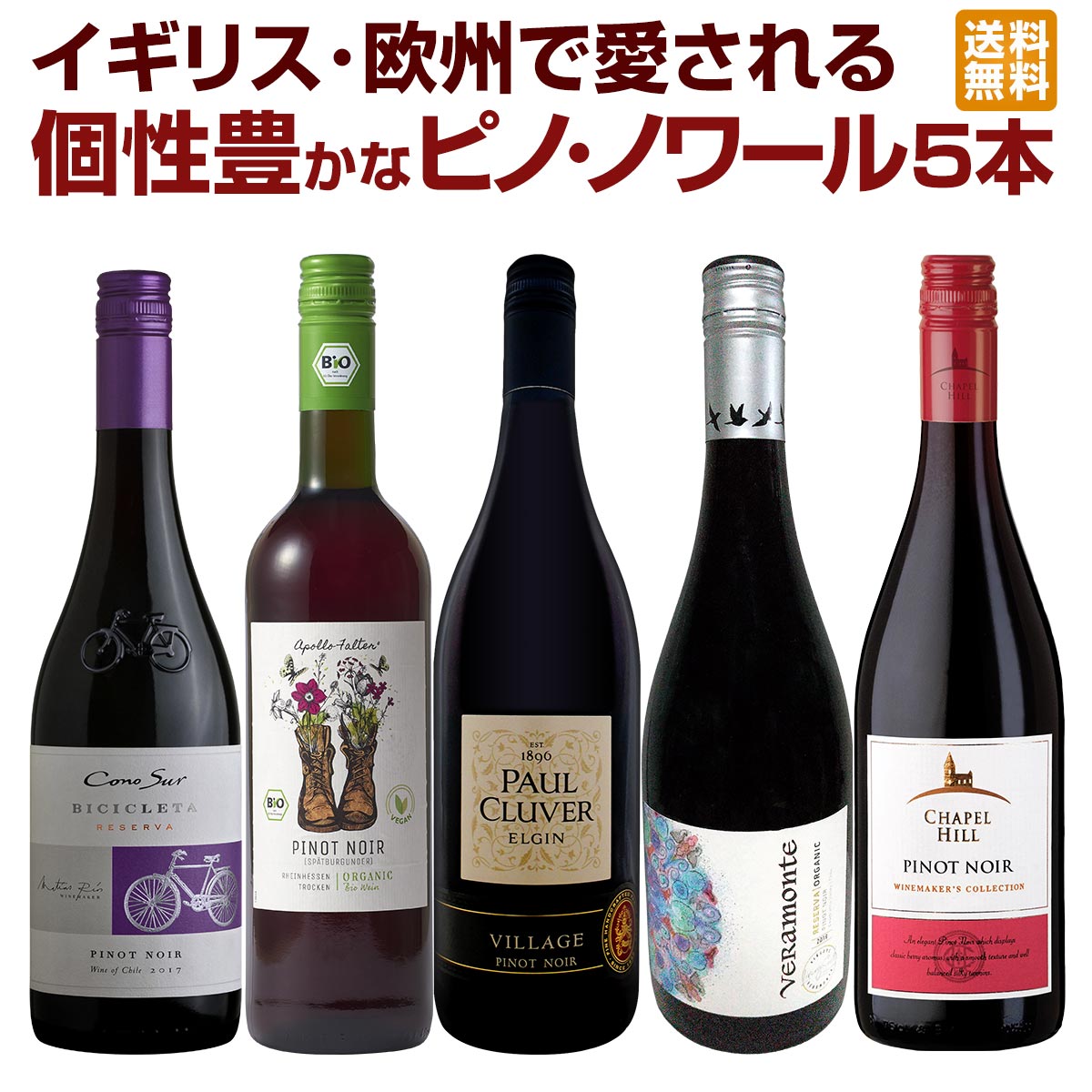 送料無料】ピノ好き集まれ！イギリス・欧州で愛される個性豊かなピノ