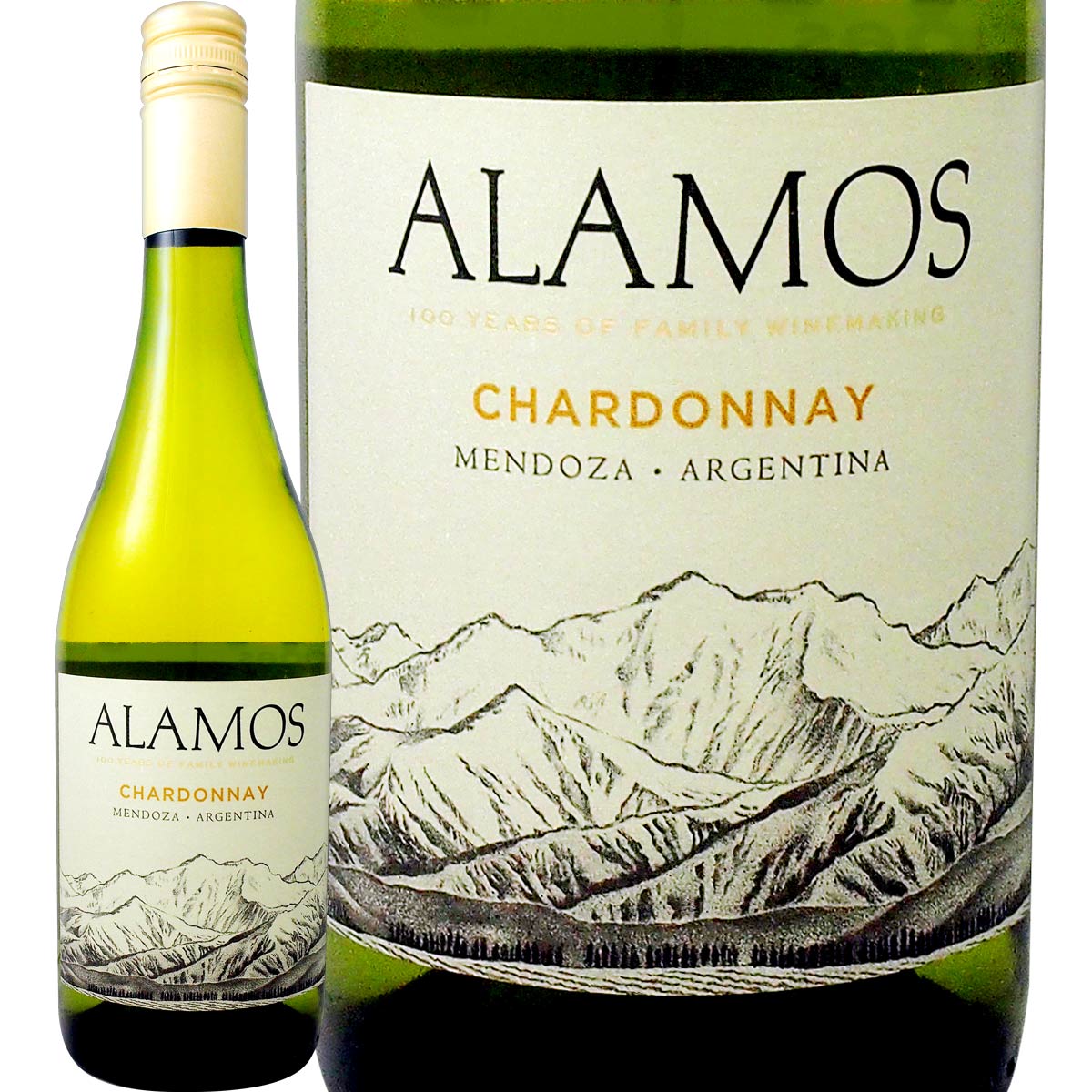 ƥʡ⥹ɥ ʺǿơˡ磻󡡥를Catena Alamos ƥʥС