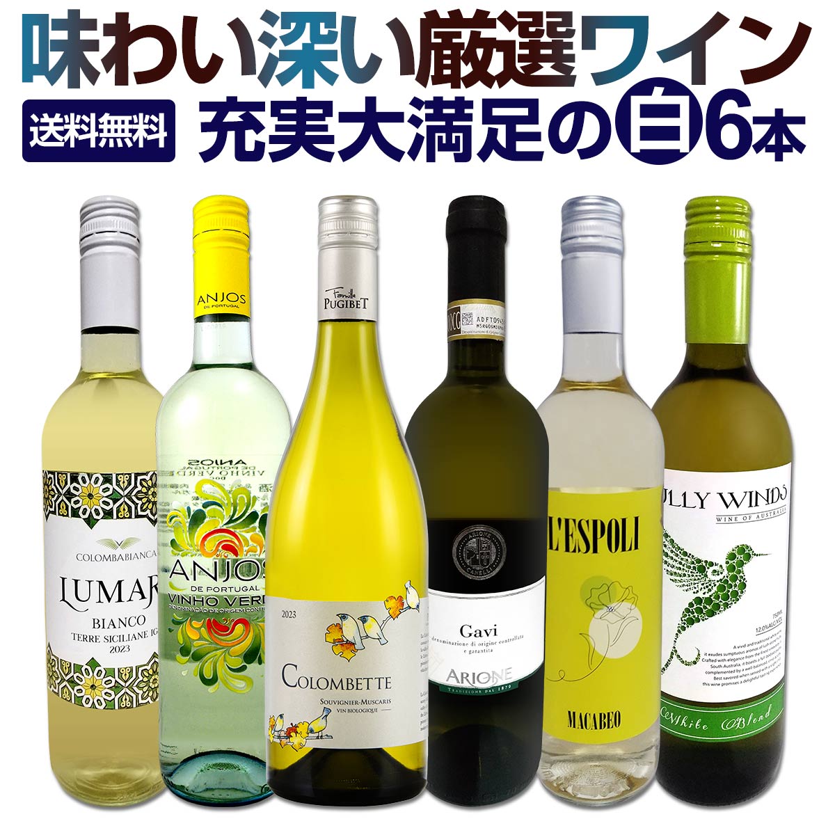 【送料無料】第221弾！当店厳選！これぞ極旨辛口白ワイン！『白ワインを存分に楽しむ！』味わい深いスーパー・セレクト白6本セット