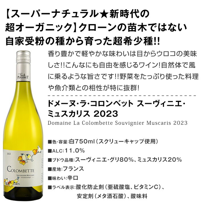 【送料無料】第221弾！当店厳選！これぞ極旨辛口白ワイン！『白ワインを存分に楽しむ！』味わい深いスーパー・セレクト白6本セット
