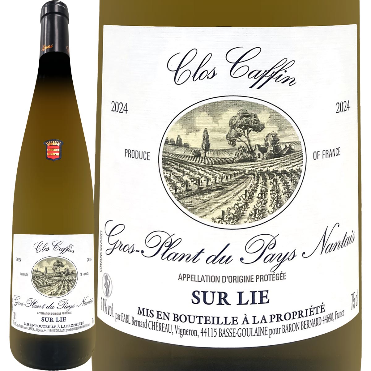 �ɥ᡼�̡��������������졦�������ץ�󡦥ǥ塦�ڥ����ʥ�ơ�����������ե��� 2024�ڥե�󥹡ۡ���磻��ۡ�750ml�ۡڥ饤�ȥܥǥ��ۡڿɸ���