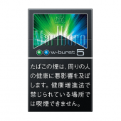 ラーク・アイス・ミント・5mg100ボックス｜世界のたばこ通販