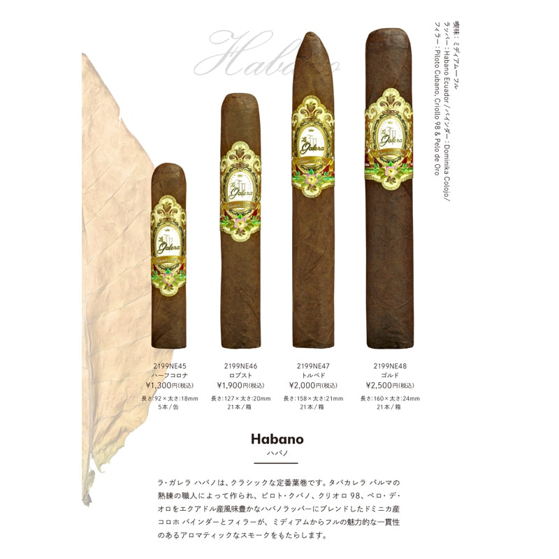 タバコパッケージ　92種類269枚（ペーパークラフトパンフレット付き） タバコパッケージ 92種類269枚（ペーパークラフトパンフレット付き）