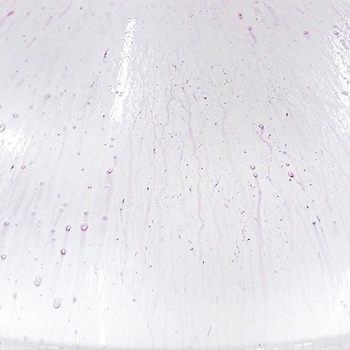 コーティング専門店の鉄粉クリーナー 300ml