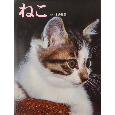 【ねこページ①】 猫ピッチャー1 | そにし けんじ |本 | 通販 | Amazon