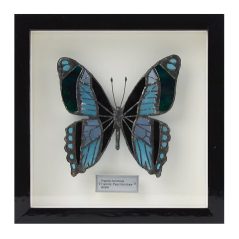 ご予約】西冨なつき ＃089 ブロミウスアオオビアゲハ｜恵文社一乗寺店